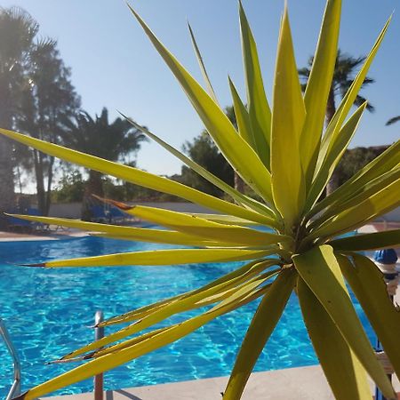 Orama Hotel Sígrion Dış mekan fotoğraf